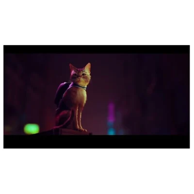 Skybound, Stray
